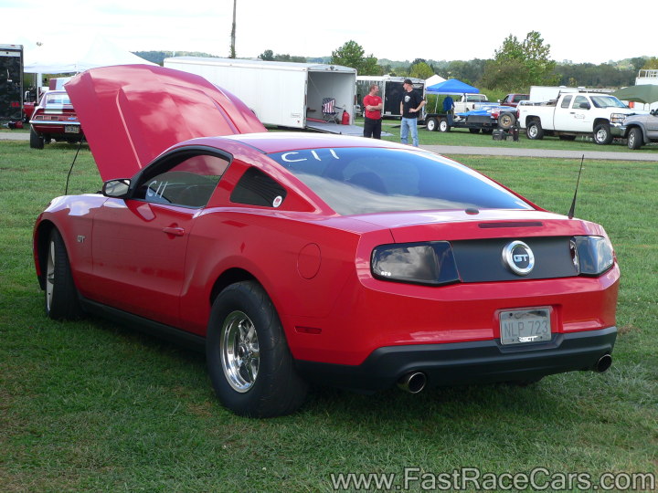 Mustang Mustang